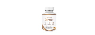 Nutripath Ginger Extract 5%- 1 Bottle